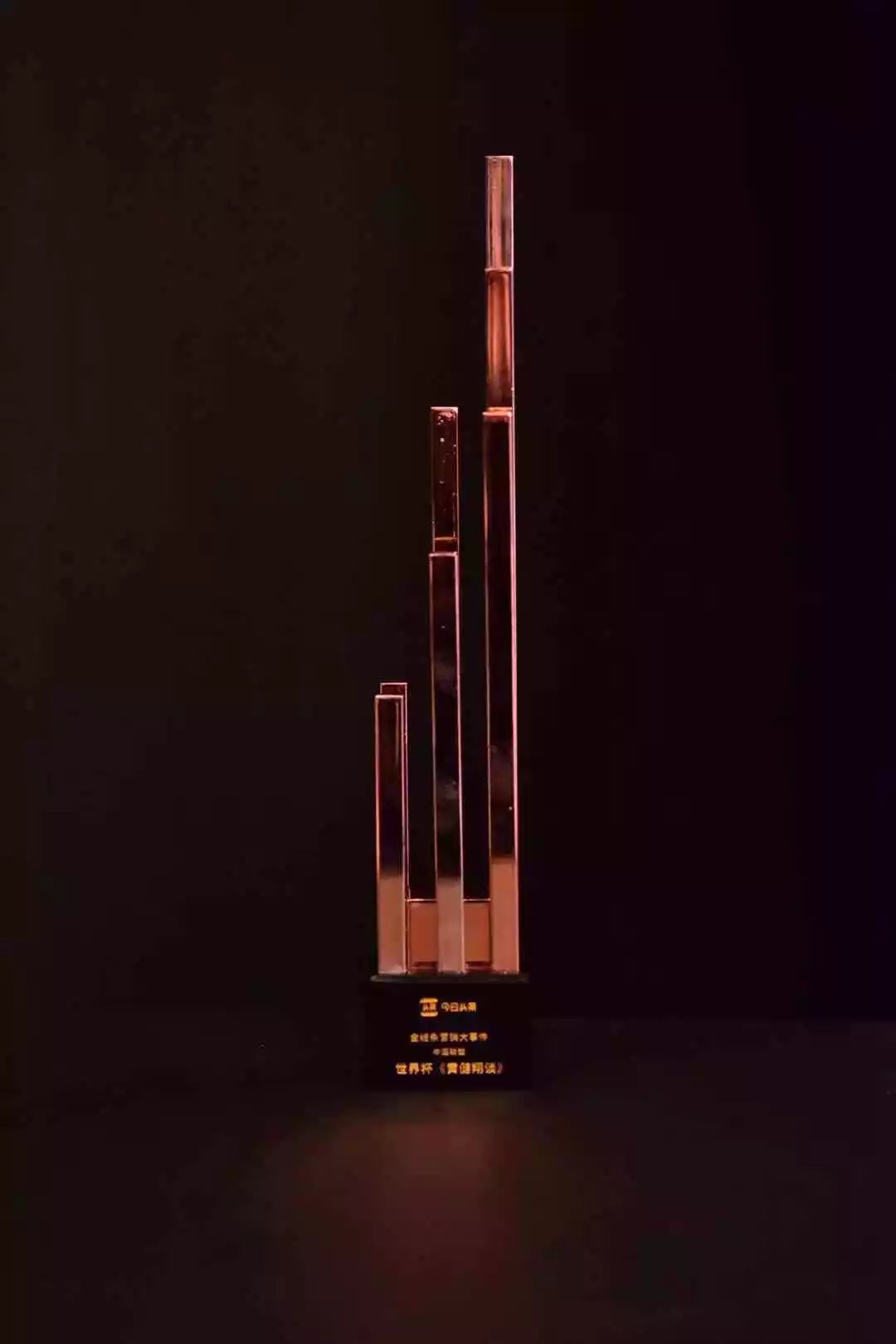 金線條營(yíng)銷(xiāo)品牌獎(jiǎng)——中國(guó)聯(lián)塑《世界杯——黃健翔談》